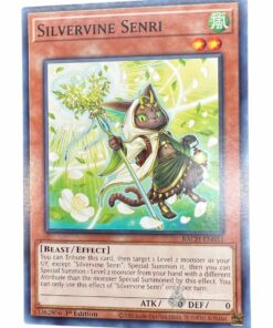 SILVERVINE SENRI BACH-EN031