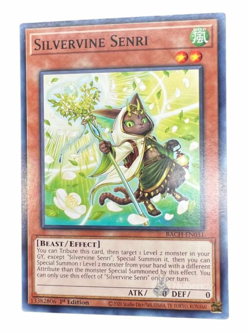 SILVERVINE SENRI BACH-EN031