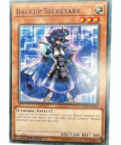 BACKUP SECRETARY COTD-EN002