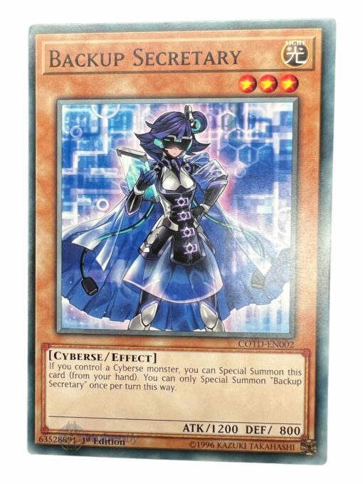 BACKUP SECRETARY COTD-EN002