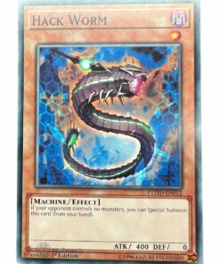 HACK WORM COTD-EN012