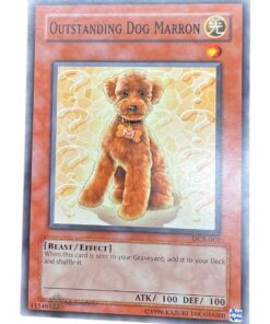 OUTSTANDING DOG MARRON DCR-062