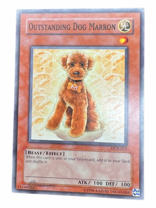 OUTSTANDING DOG MARRON DCR-062