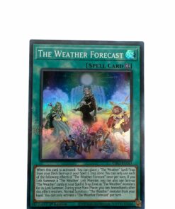 THE WEATHER FORECAST DIFO-EN063