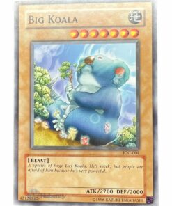 BIG KOALA IOC-004