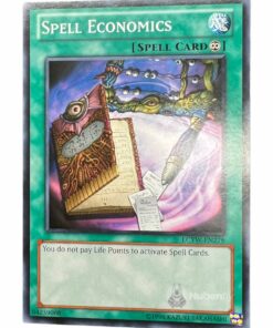 SPELL ECONOMICS LCYW-EN278