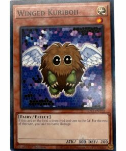 WINGED KURIBOH LDS3-EN100