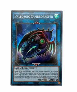 PALEOZOIC CAMBRORASTER MP22-EN088