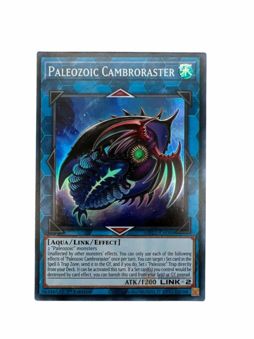 PALEOZOIC CAMBRORASTER MP22-EN088