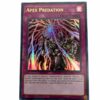 APEX PREDATION MP22-EN235