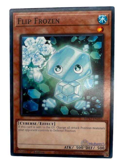 FLIP FROZEN MP22-EN243