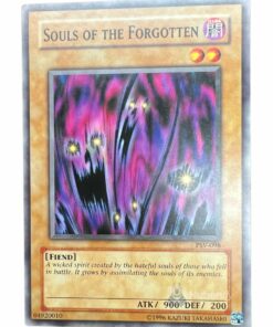 SOULS OF THE FORGOTTEN PSV-098