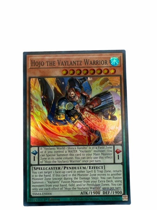 HOJO THE VAYLANTZ WARRIOR TAMA-EN004