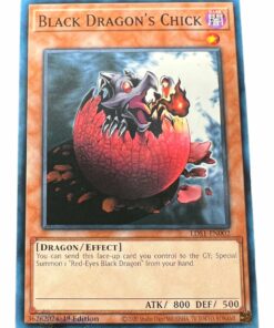 BLACK DRAGONS CHICK LDS1-EN002