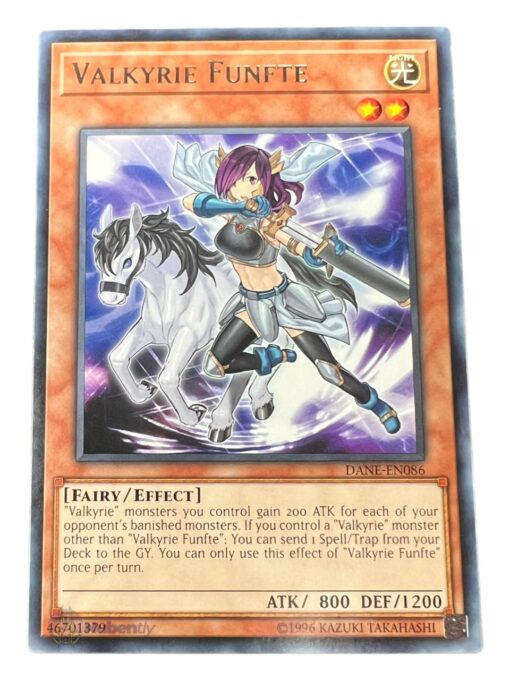 VALKYRIE FUNFTE DANE-EN086