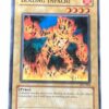 BLAZING INPACHI IOC-061