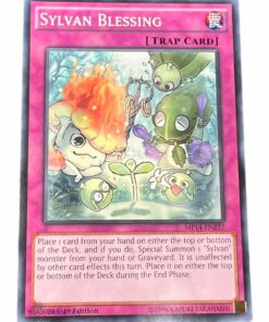 SYLVAN BLESSING MP14-EN232