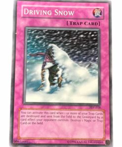 DRIVING SNOW PSV-018