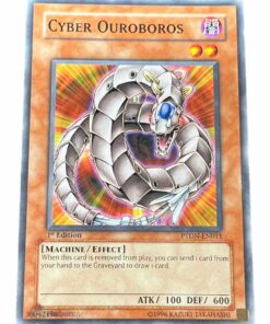 CYBER OUROBOROS PTDN-EN011