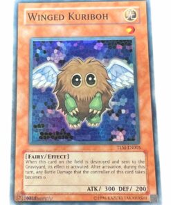 WINGED KURIBOH TLM-EN005