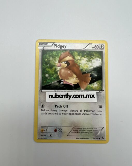 Pidgey 75/106